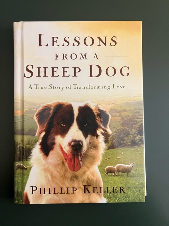 Other - Lessons From a Sheep Dog book